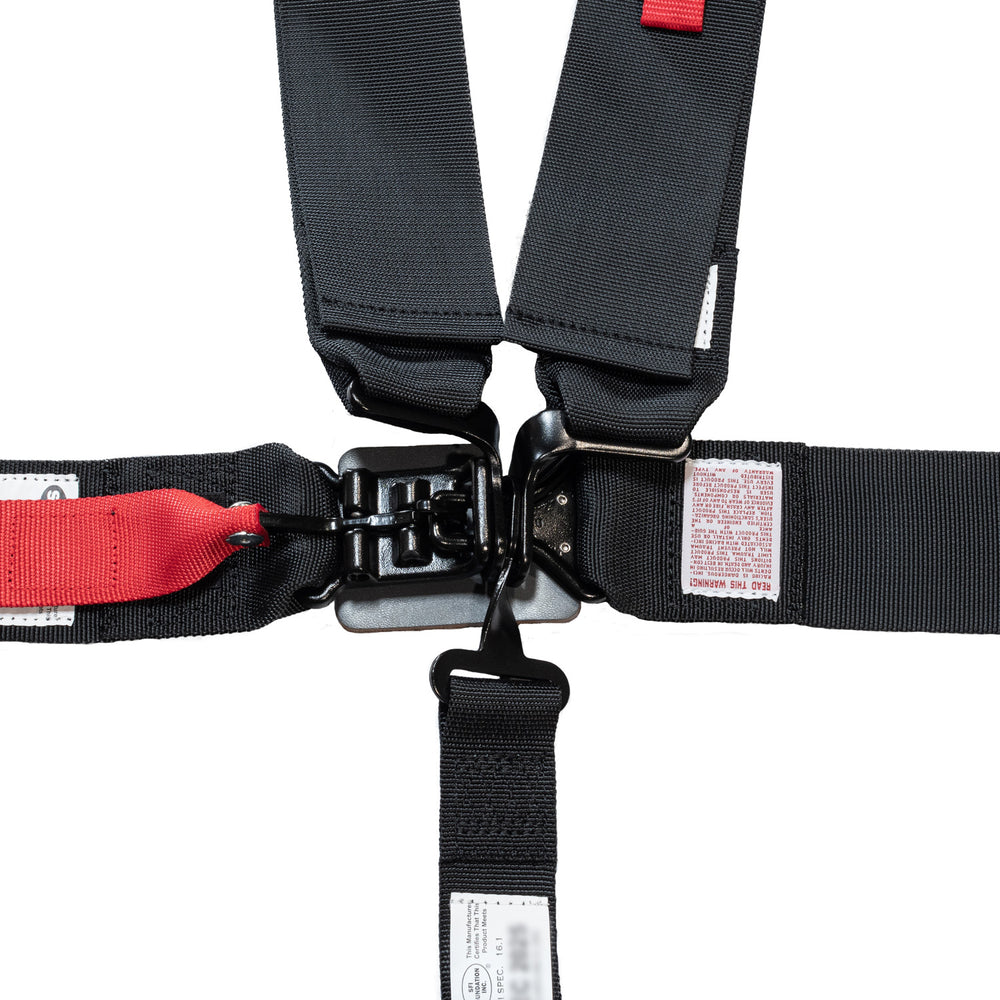 SFI 16.1 3"/2" 5-Point Pull-Up(In) Seat Harness