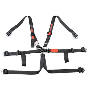 SFI 16.1 2" 6-Point Pull Up(In) Seat Harness