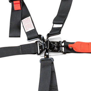 SFI 16.1 2" 6-Point Pull Up(In) Seat Harness