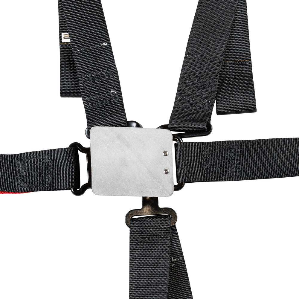 SFI 16.1 2" 6-Point Pull Up(In) Seat Harness