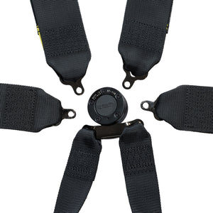 FIA 8853-2016 3"/2" 6-point Pull Up(In) Seat Harness