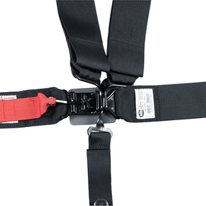 SFI 16.1 3"/2" 5-Point Ratchet Seat Harness