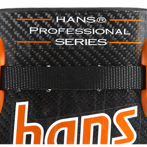 Hans Device Professional Model 20